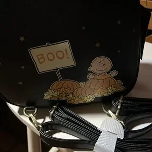 Bioworld | Bags | Bioworld Boxlunch Exclusive Peanuts Snoopy  display picture 2